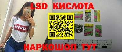 a pvp Бердск