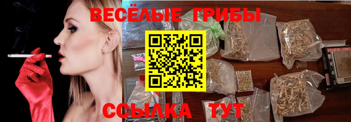 Похвистнево  Псилоцибиновые грибы ЛСД  Галлюциногенные грибы Psilocybine cubensis  Вход с VPN 